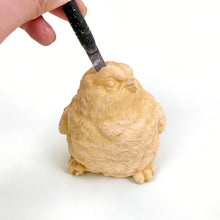 Load image into Gallery viewer, • SQUEEZESQUAD BIRD SQUISHY DIG KIT
